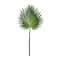 Tropical Fan Palm Stem by Ashland®